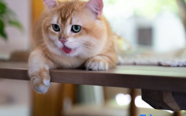 Yangshuo Yuese Boutique Inn