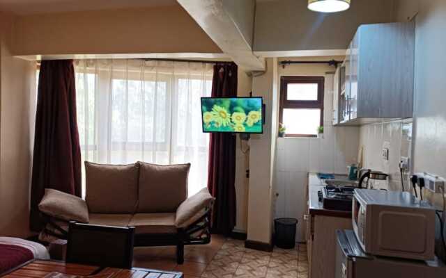 Cool Luxurious Studios