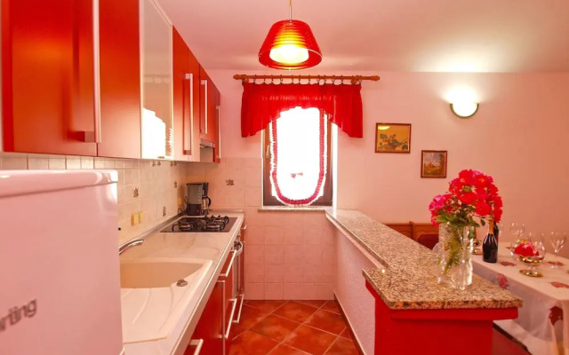 Apartment Tatjana 411