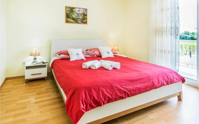 Apartment Nedescina 47