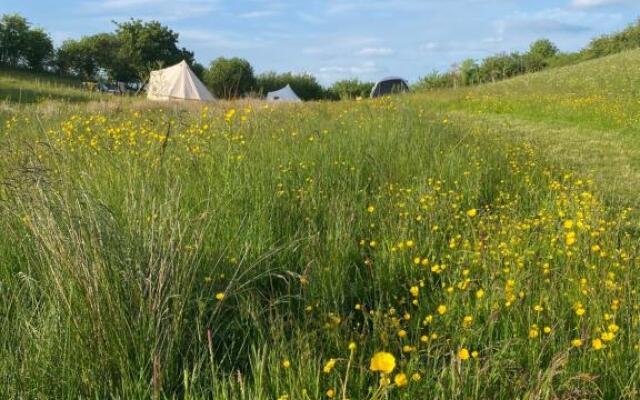 Daisy Bell Tent at Belan Bluebell Woods