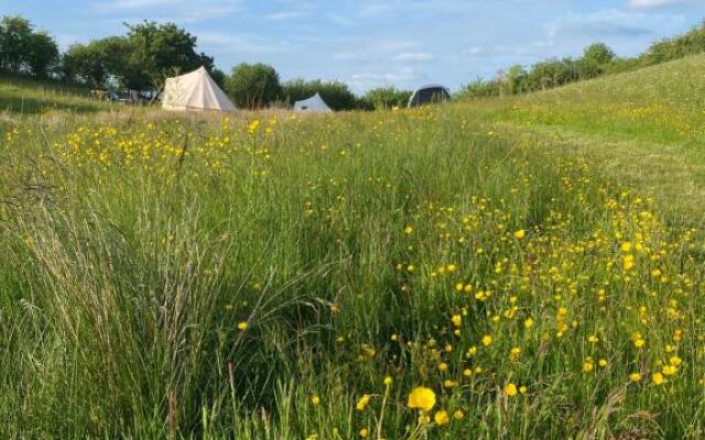 Daisy Bell Tent at Belan Bluebell Woods