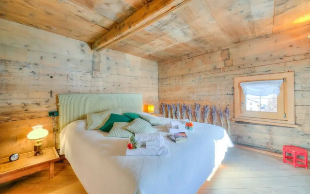 Chalet Lidia Ski In-ski out 50m