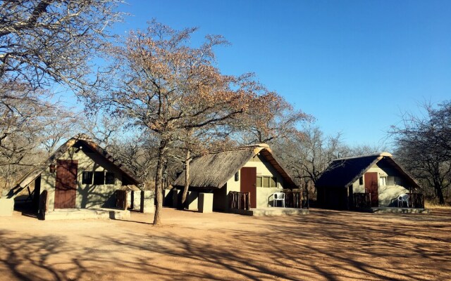 Wild Dogs Safari Lodge