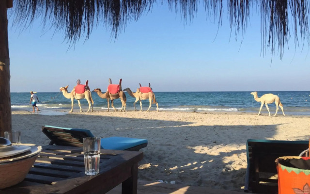 Djerba Orient