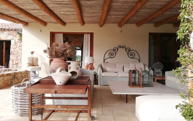 Albero Capovolto Country & Sea