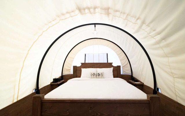 Zion Wildflower, BW Premier Collection