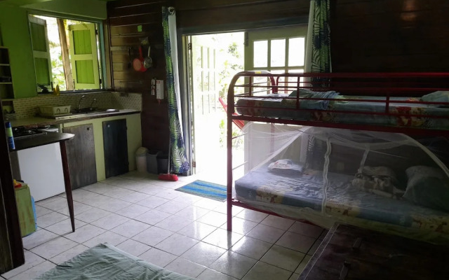 3 Rivers & Rosalie Forest Eco Lodge