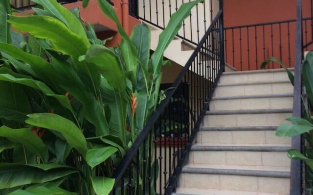 Apartamentos Coco Marindo
