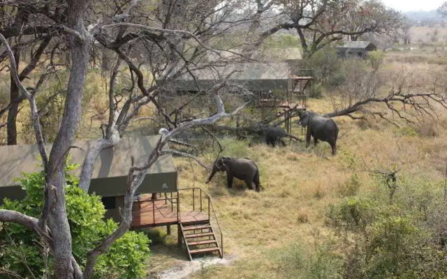 Nkasa Lupala Tented Lodge