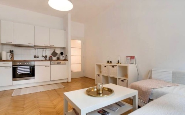 Apartment in the  center Vienna Austria