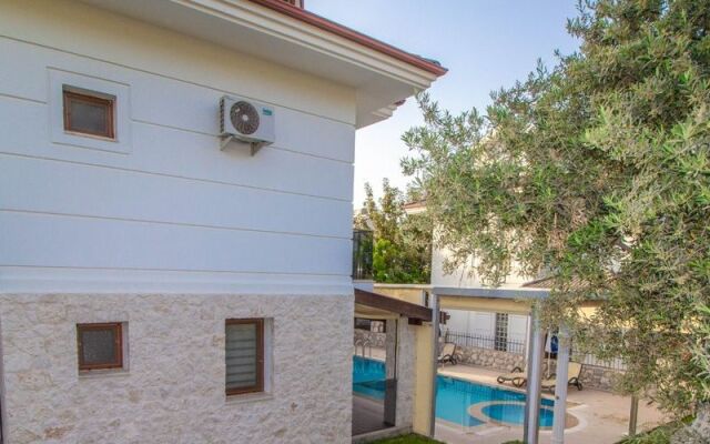 Prestij Amintas Villa