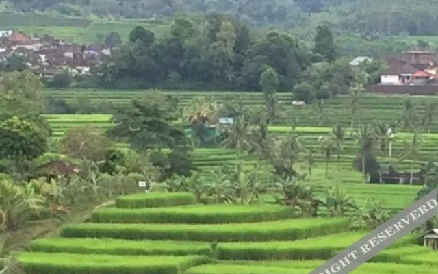 Prana Dewi Mountain Resort