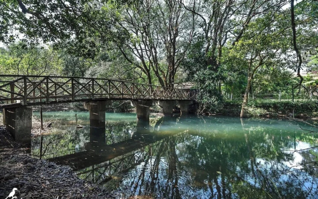 Shangri La Jungle Resort