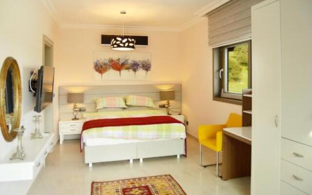 Important Group BD410 Luxury Villa in Ortakent