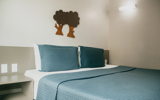 Nord Easy Green Sunset