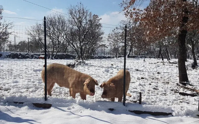 Agriturismo Il Giardino Dei Mandorli