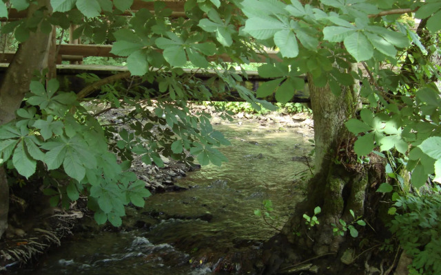 Hillside Cottage Near Winterberg
