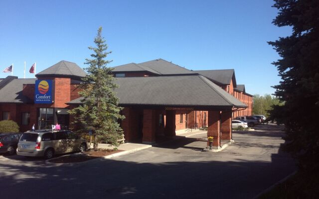 Comfort Hotel & Suites