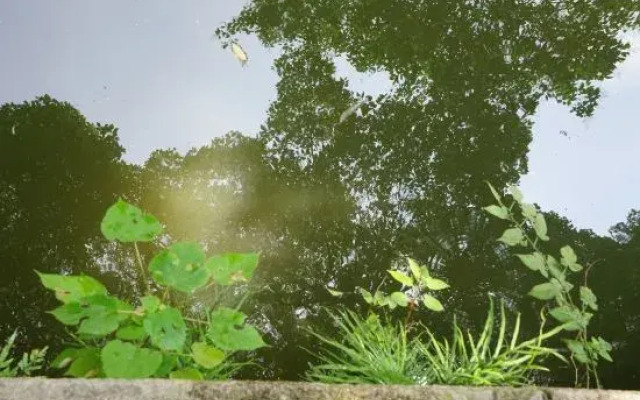 Tongli wear heart inn(同里穿心弄客栈)