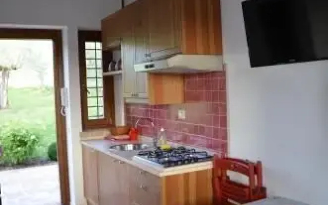 Umbrian Holiday on the enchanting hills of Todi!