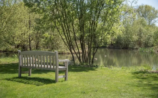 Laurel Lodge Kingfishers