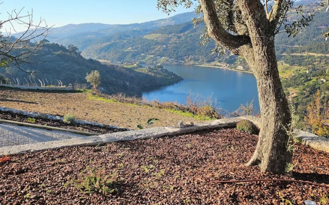 Quinta D'Joanes Douro