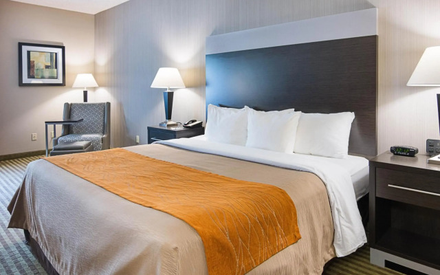 Comfort Inn Camden
