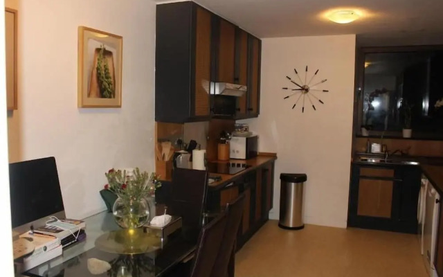 Mayfair Piccadilly Apartment