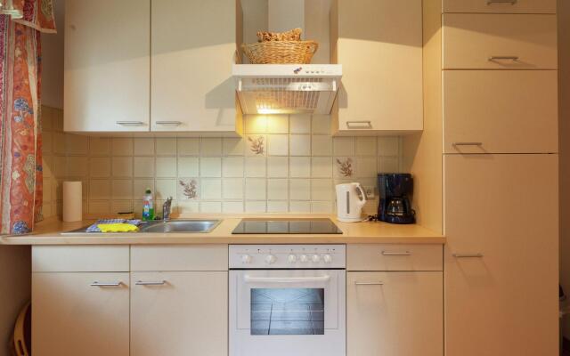 Modern Apartment in Reinhardtsdorf-Schona near Ski Slopes