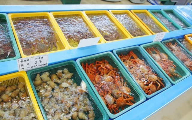 Pohang View 141 Pension