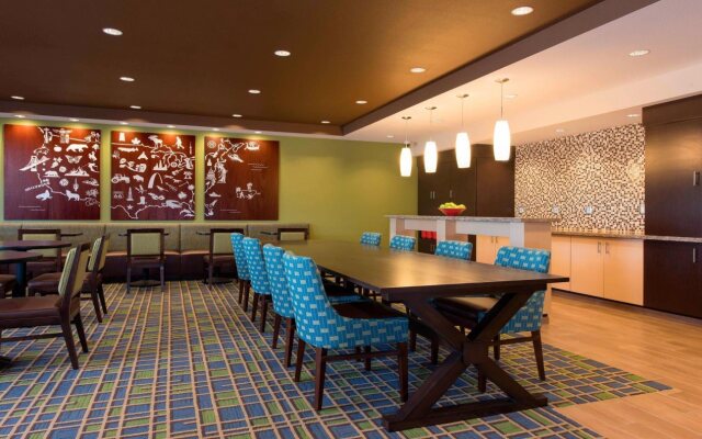 TownePlace Suites by Marriott Lexington South/Hamburg Place