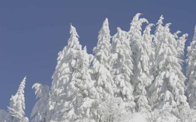 Goldener Berg