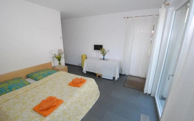 Bio-Studio Königskerze