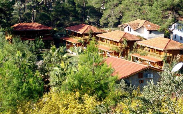 Olympos Tanrılar Kulübü