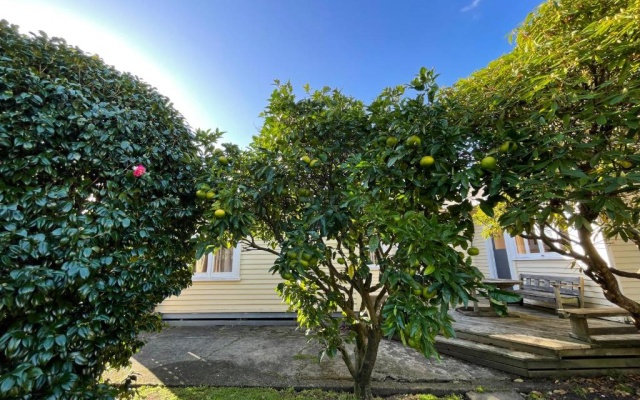 NO PARTY ALLOWED, Peaceful, Spacious, central Petone, free unlimited Fibre Wi-Fi & free parking – Outside – Lower Hutt