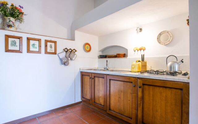 Bardeggiano - Caterina 7 (COL240)