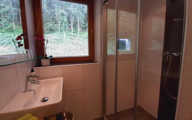 Appartement Zillertal Arena Zell am Ziller