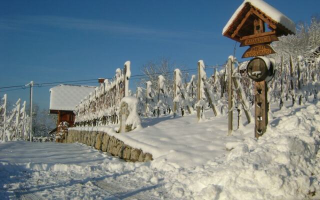 Vineyard cottage Med vinogradi