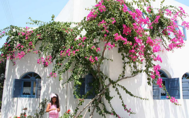 Hotel Kalma