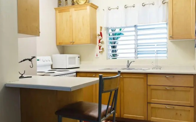 New Kingston Guest Apartment VII