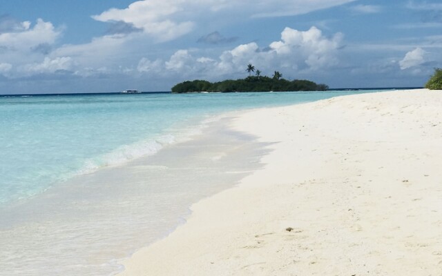 White Coral Rasdhoo