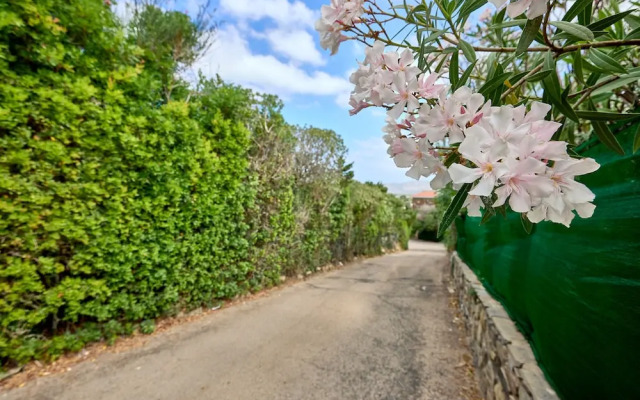 Sardinia Re - La Cruzitta - Garden