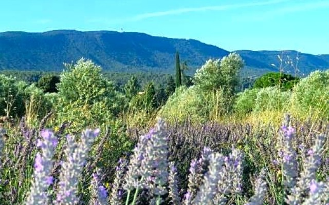 La mordorée