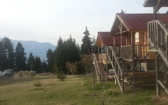 Pilavdagi Tatil Koyu