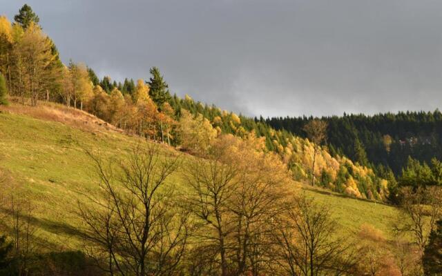 Ferienwohnung Pusteblume