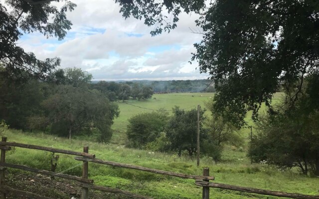 Twin Elm Guest Ranch