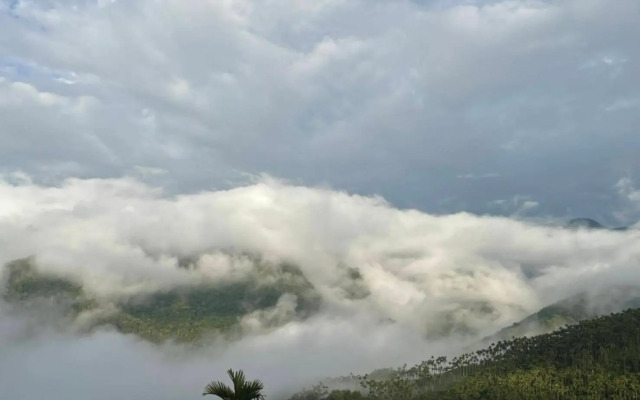 Hongpeng Coffee Station Homestay