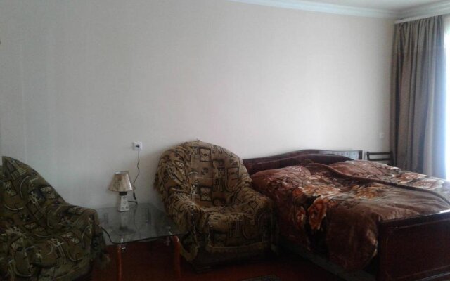 Guesthouse ''Ashot Shalunts''