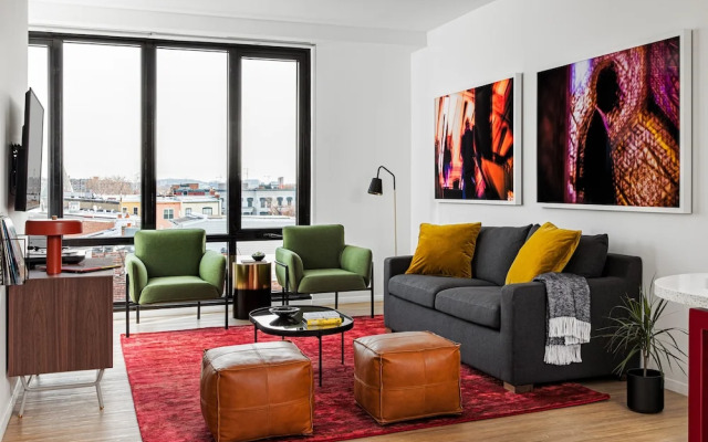 BLACK SWAN - Liz DC - Executive Flat